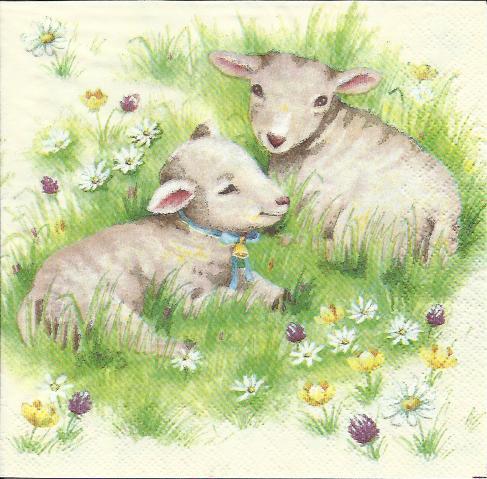 Serviette 2 little Lambs ! Schafe