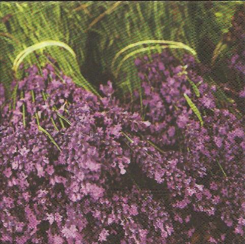 Serviette Lavender