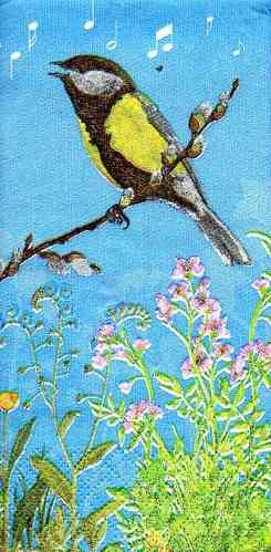 Taschentuch Twittering Bird