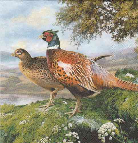 Serviette Pheasant