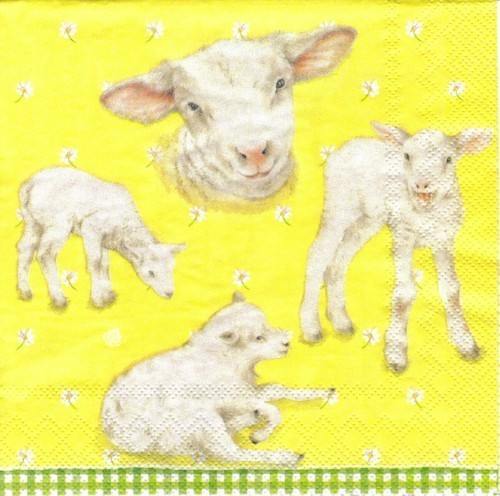 Serviette Little Lambs yellow