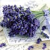 Serviette Lavender Greeting