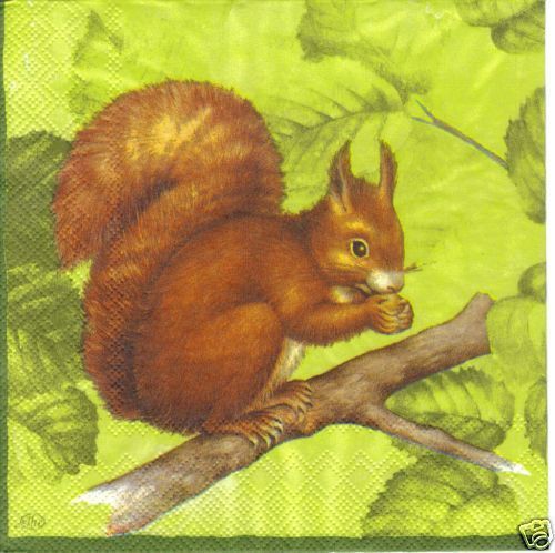 Serviette Squirrel green
