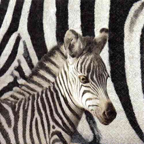 Serviette Kleines Zebra