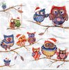 Serviette Owls in Winterland