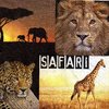Serviette Safari Tour