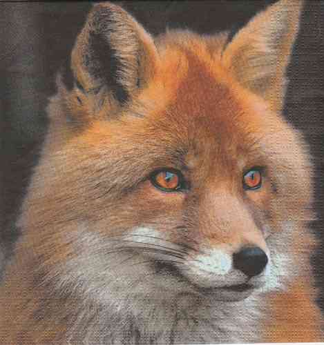 Serviette Hunting Fox