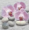 Serviette Orchids on Stones