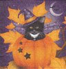 Serviette Halloween Cat