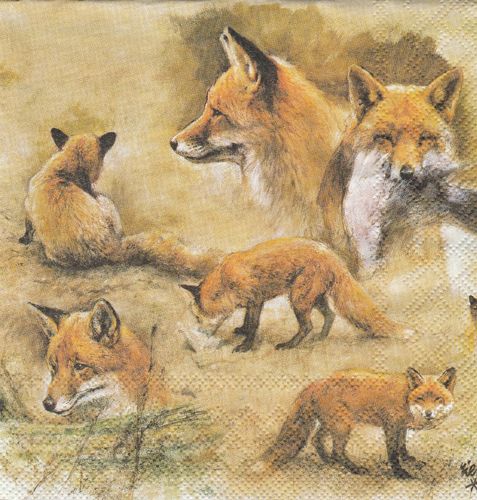Serviette Portraits of Foxes