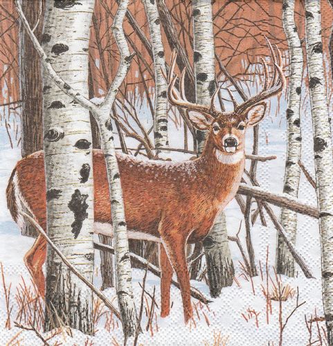 Serviette Deer in Forest