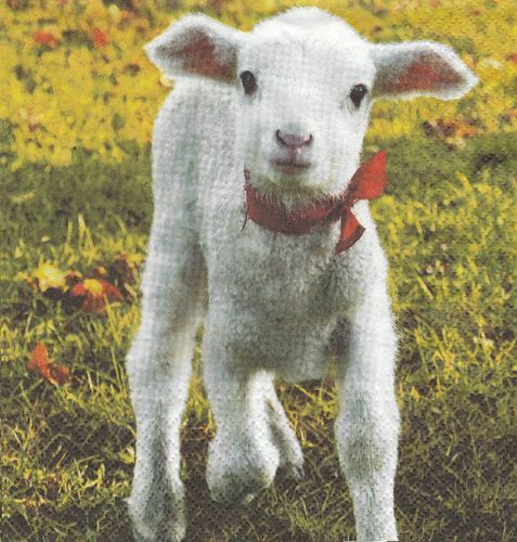 Serviette Little Lamb
